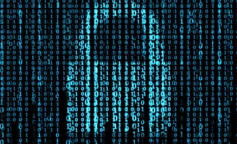 information security degree