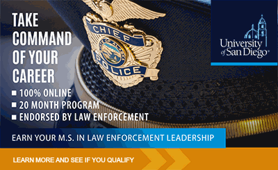 5 Careers In Law Enforcement That Require An Advanced Degree