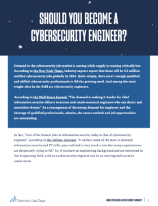 Should You Become a Cybersecurity Engineer?