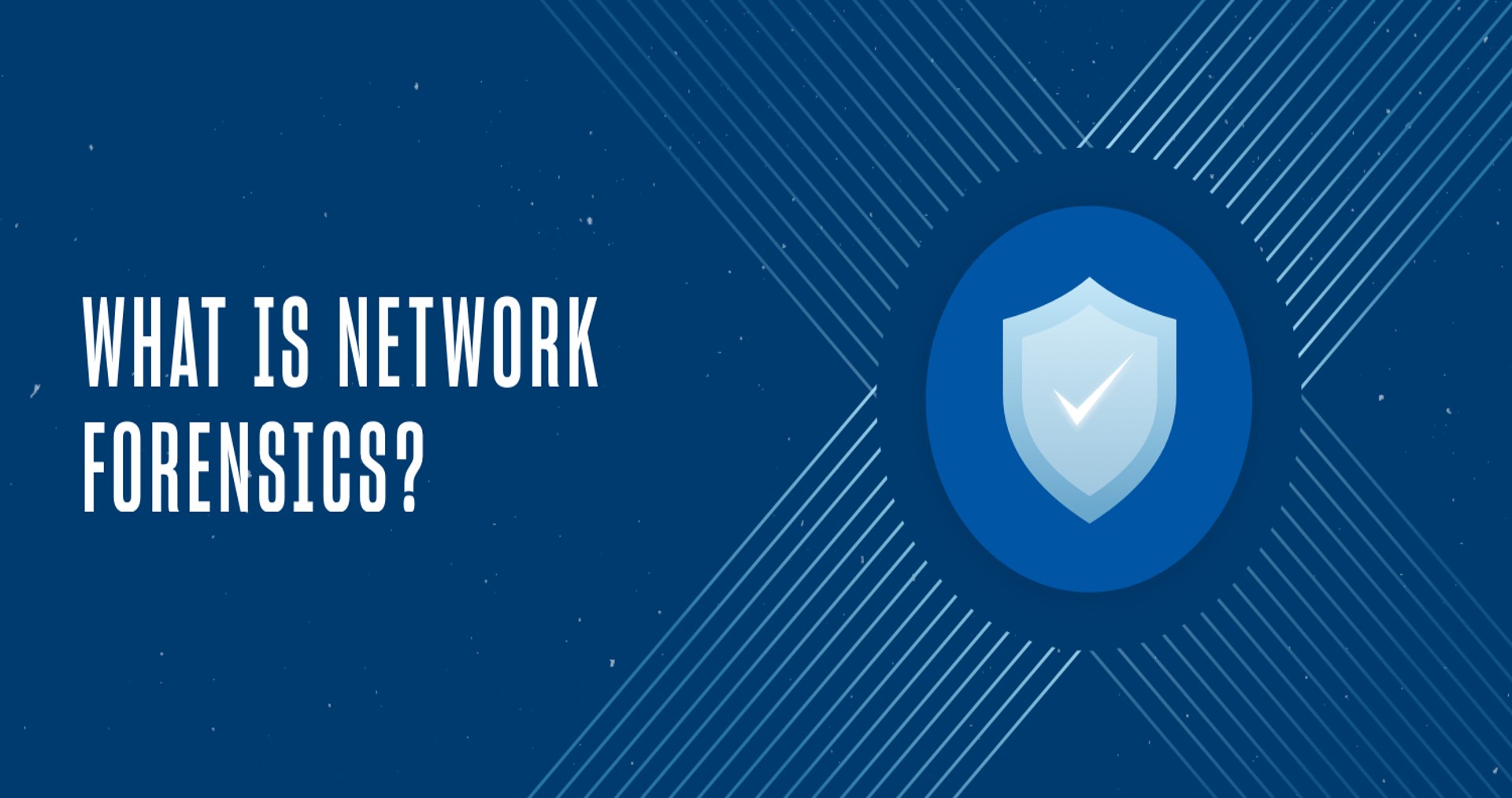 What is Network Forensics