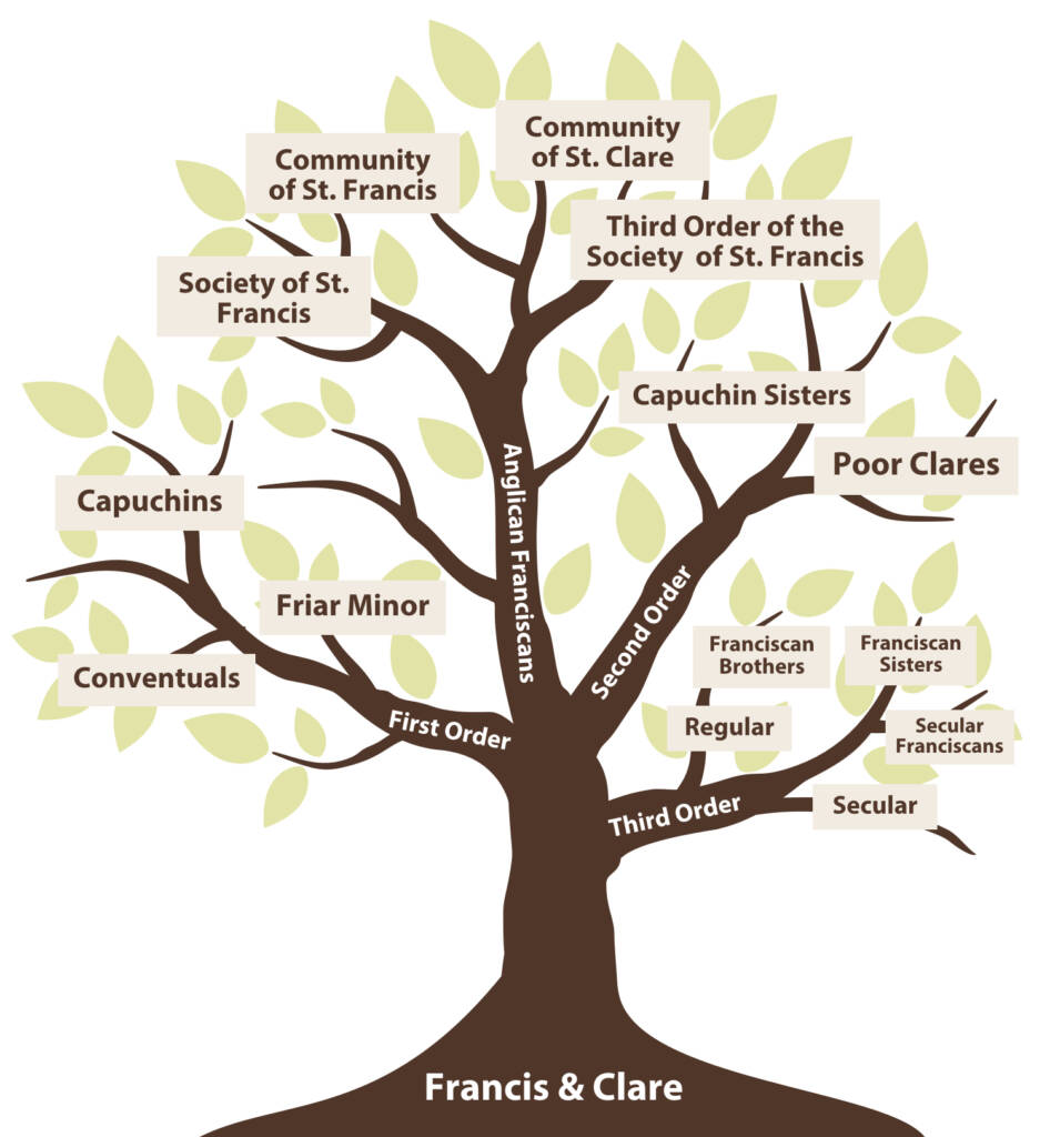 illustration of The Franciscan Family Tree representing the branches stemming from Francis & Clare, including franciscan brothers and sisters, capuchins and third order of the society of st. francis