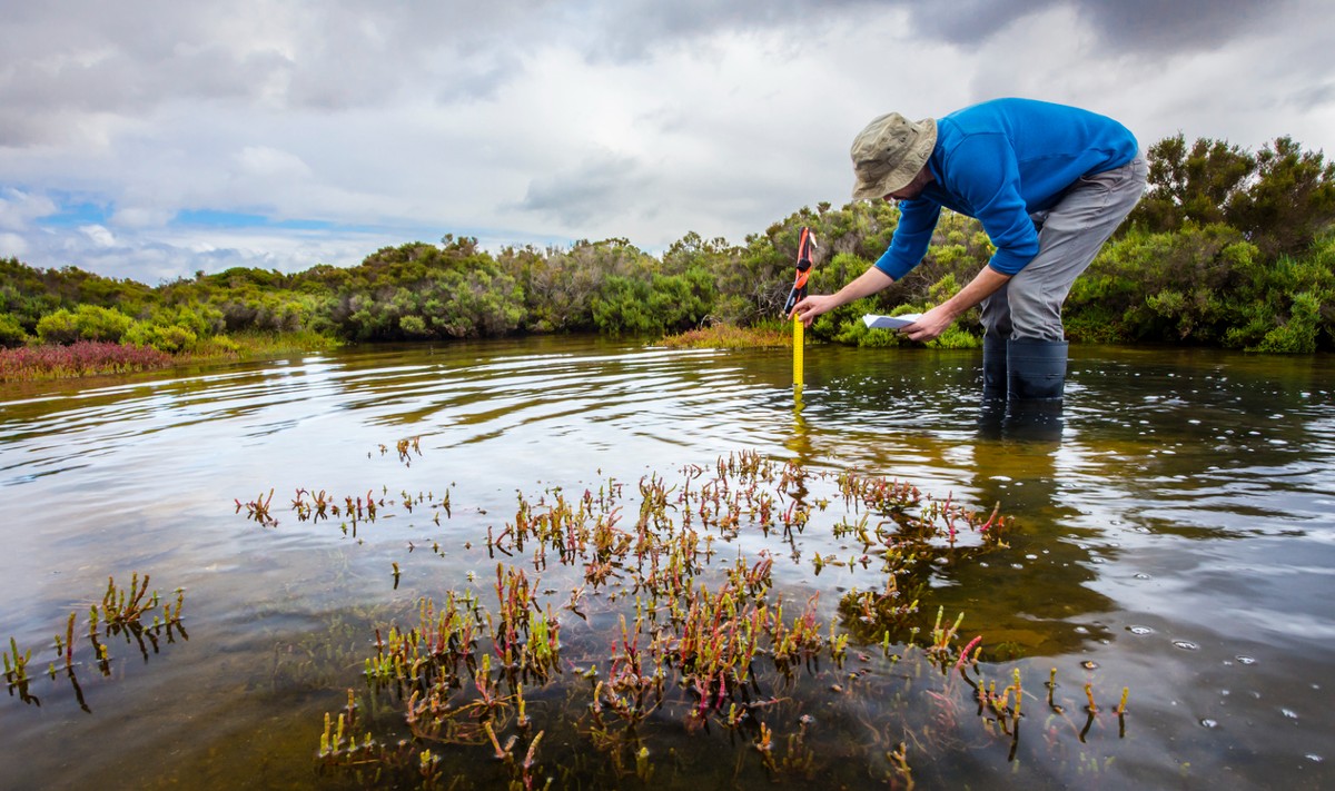 Scientist in a blue shirt and tan hat and black boots measuring water depth to install water level data loggers in a coastal wetland