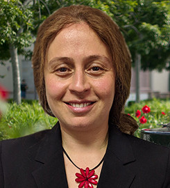 Preview image of Raheleh Dilmaghani, PhD