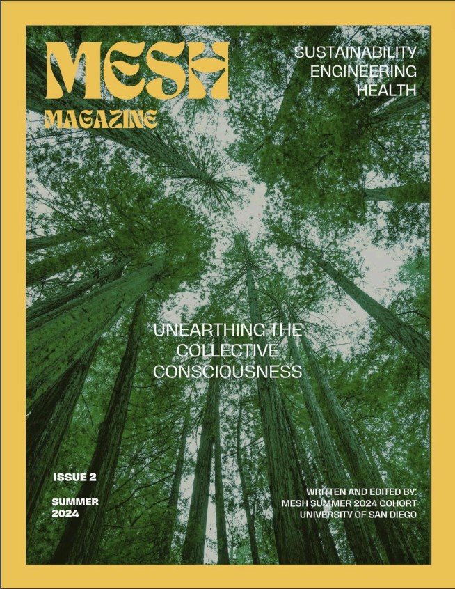 MSESH Casptone Project Magazine Issue#2