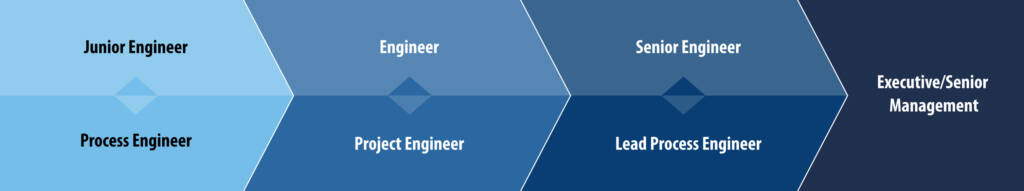 diagram showing different career paths for a executive senior management from a chemical and  biological standpoint.