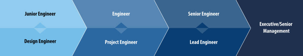 diagram showing different career paths for a executive senior management from a physical systems standpoint.