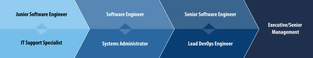 diagram showing different career paths for a executive senior management from a technology standpoint.