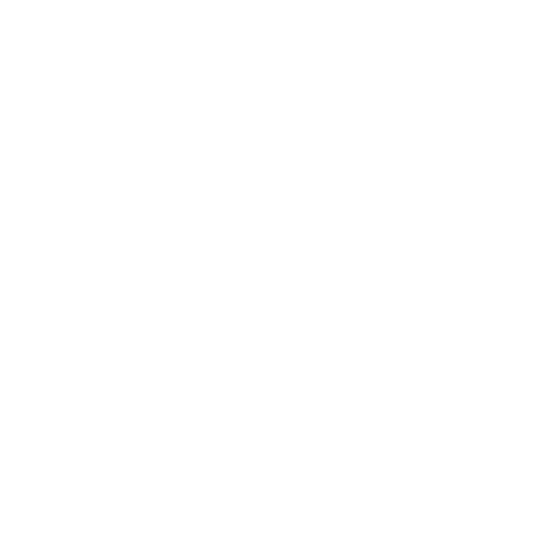 Computer monitor icon