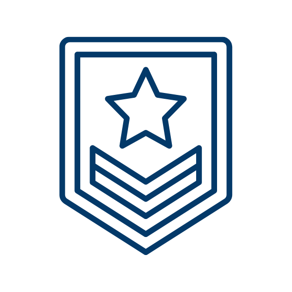 Military badge icon