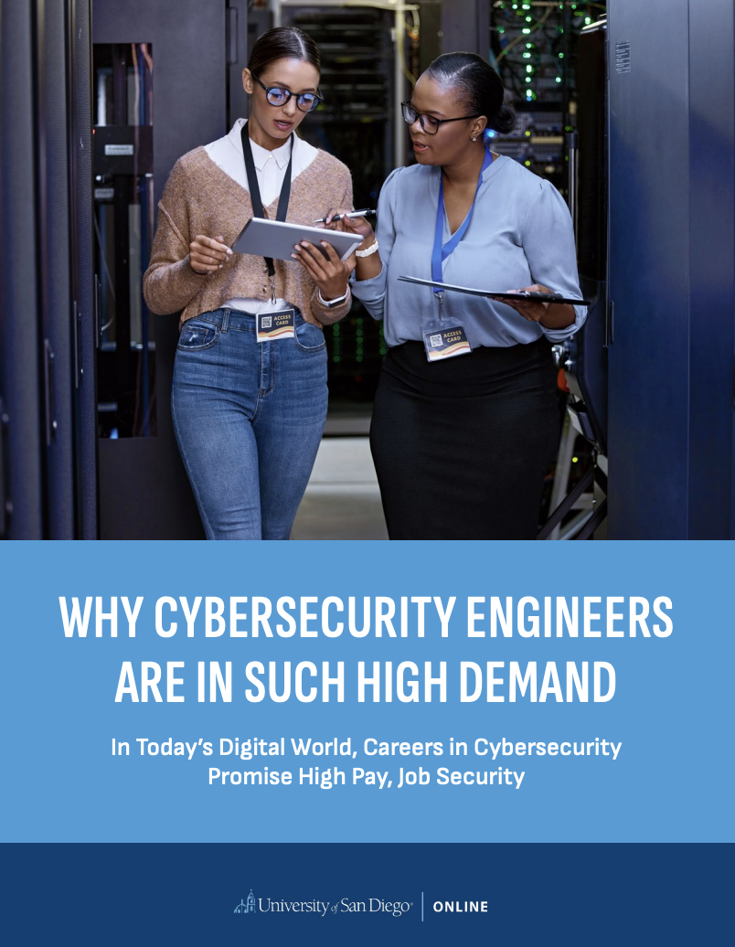 Why Cyber Security Engineers Are in Such High Demand ebook cover